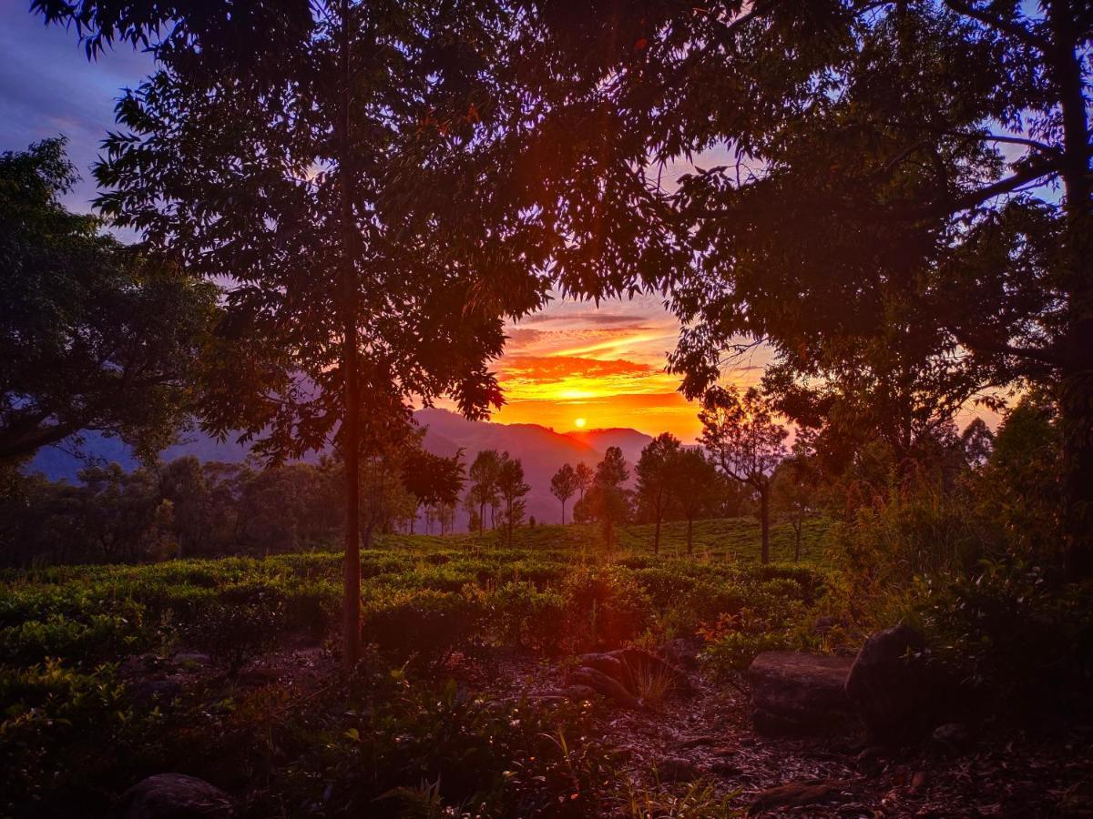 Eco Lodge Haputale-Camping Sri Lanka מראה חיצוני תמונה