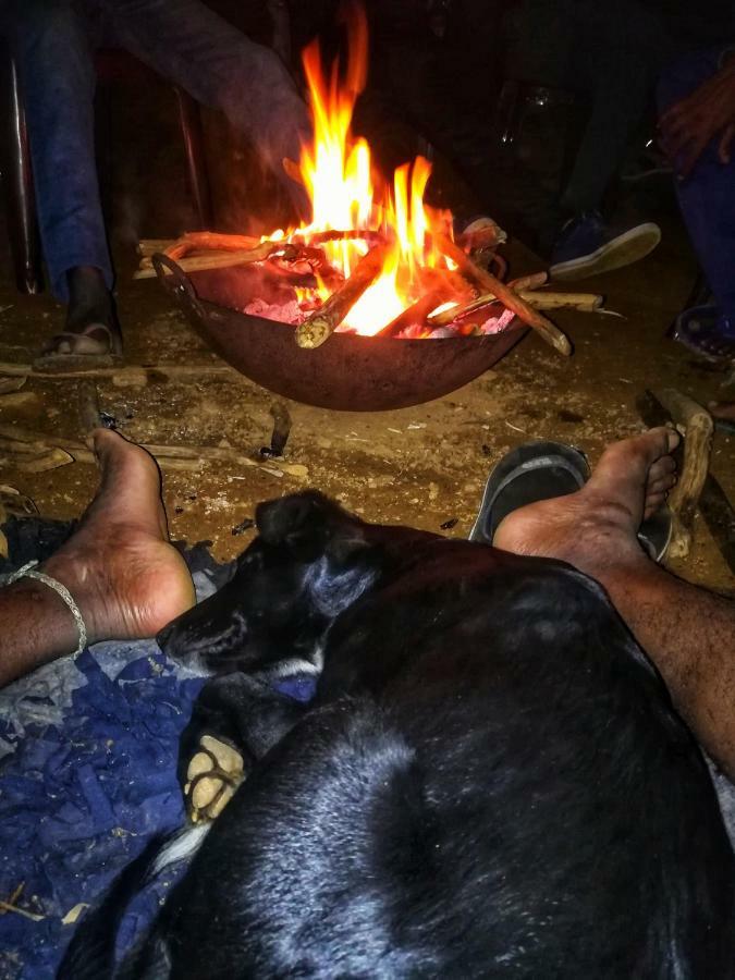 Eco Lodge Haputale-Camping Sri Lanka מראה חיצוני תמונה