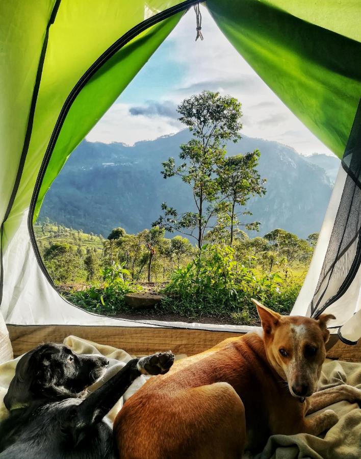 Eco Lodge Haputale-Camping Sri Lanka מראה חיצוני תמונה